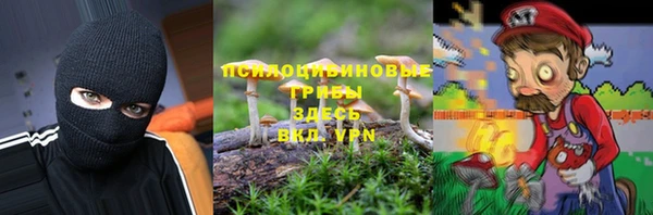 Альфа ПВП Пересвет