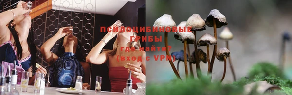 не бодяженный Алексин