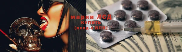 spice Алзамай