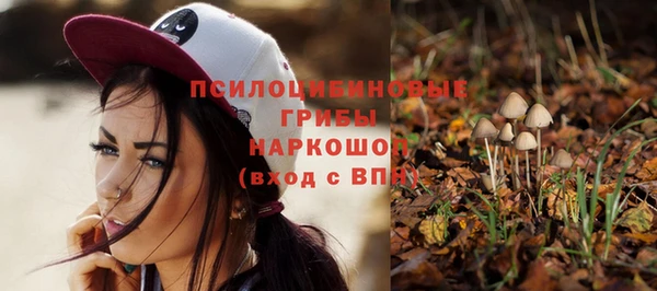 не бодяженный Алексин