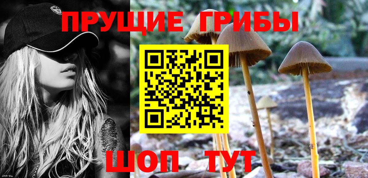 Псилоцибиновые грибы прущие грибы Усть-Илимск