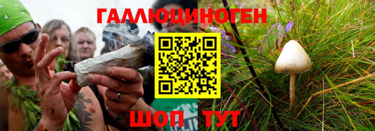 Псилоцибиновые грибы Magic Shrooms  Вход с VPN  Усть-Илимск 